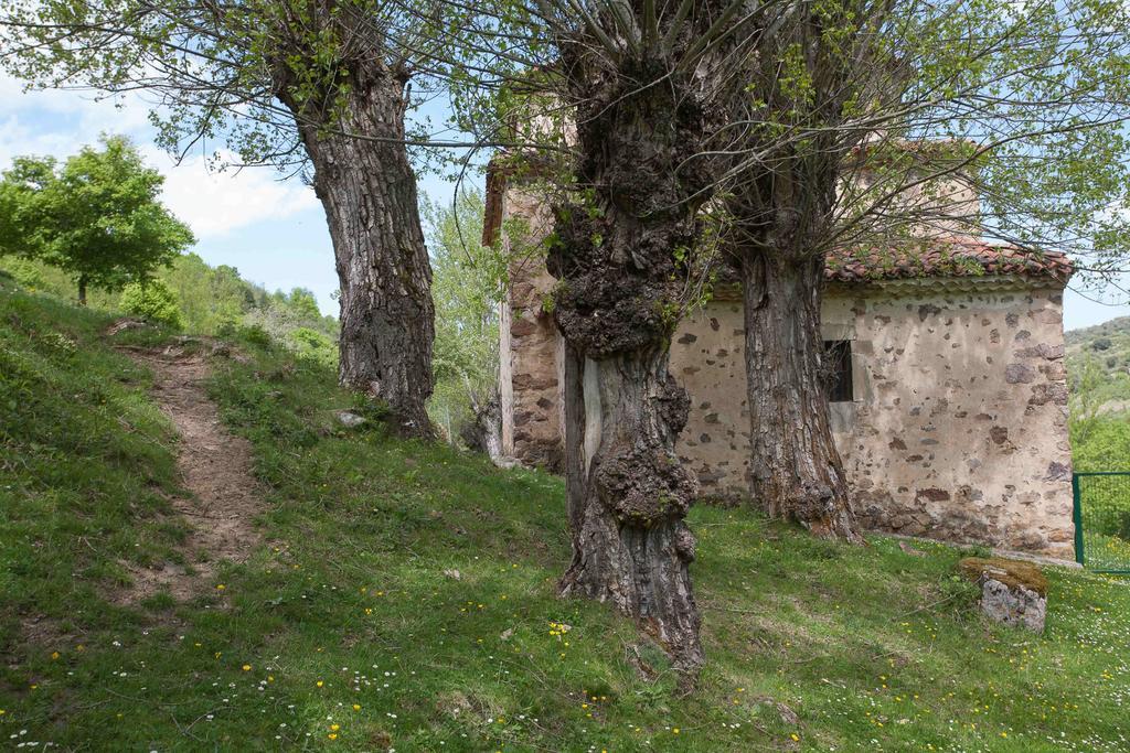 Aldeanueva de Cameros Posada De Urreci المظهر الخارجي الصورة